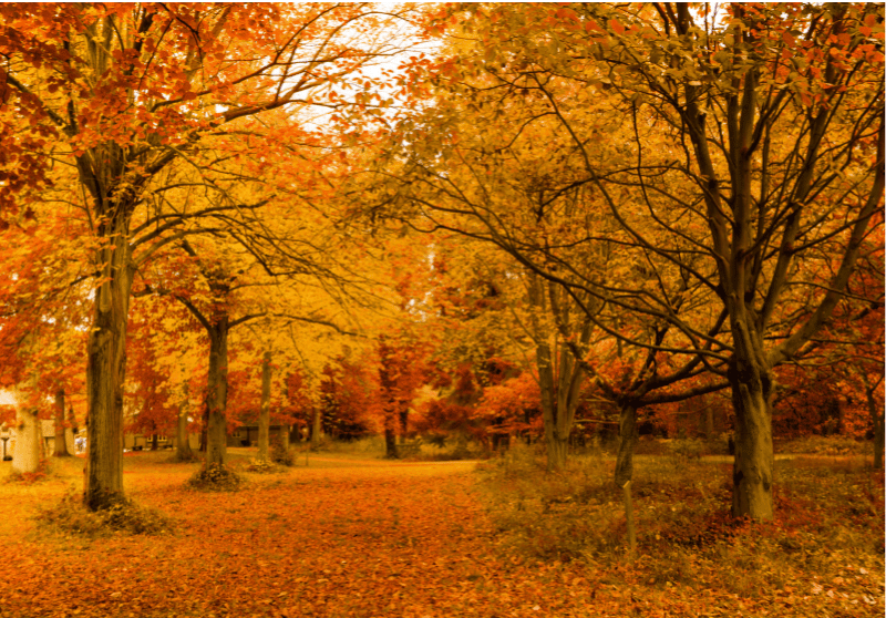 Autumn Holidays at Hotel Füred 